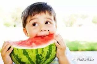 娱乐吃瓜君说二豆